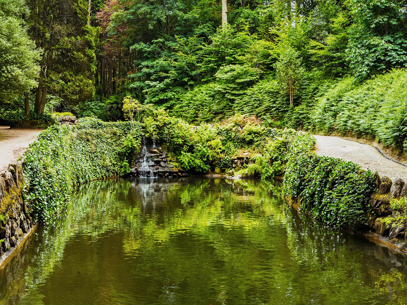 Lugn vy över trädgården och dammen i Nationalpalatset & Pena Park